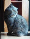 Design 275052 Canvas Prints Image