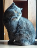 Design 275371 Canvas Prints Image