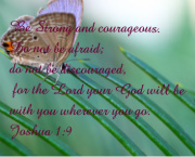 Joshua 1:9 butterfly