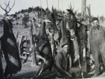 Design 268194 Canvas Prints Image