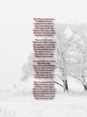 Design 268357 Canvas Prints