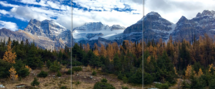 Design 359128 Canvas Prints