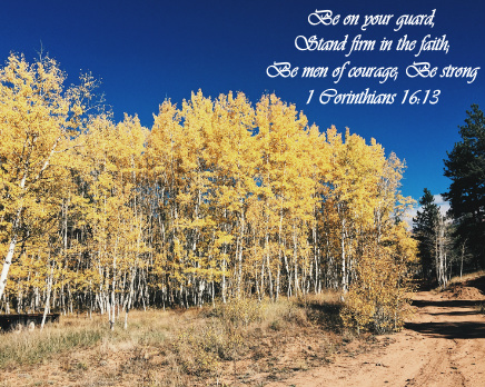 Design 362685 Canvas Prints