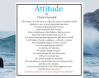 Attitude