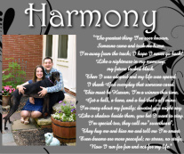 Harmony