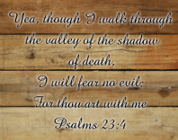 Scripture for Andy