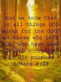 Romans8:28