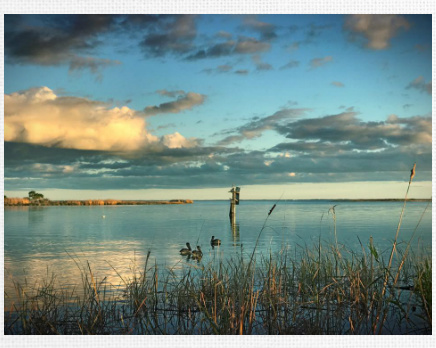 Design 278612 Canvas Prints