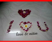 Design 279295