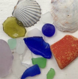 Winter Walk Collection