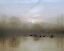 Misty Morning