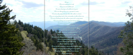 Design 296834 Canvas Prints
