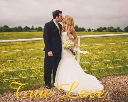 Design 299664 Canvas Prints