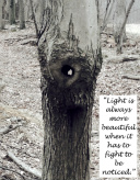 Design 295611 Canvas Prints Image