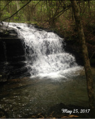 Design 310958 Canvas Prints Image