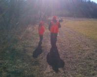 Shadows in the woods
