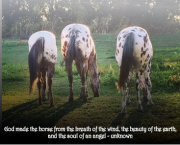 Design 330785 Canvas Prints Image