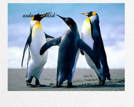 Design 338280 Canvas Prints