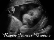 Baby Raven