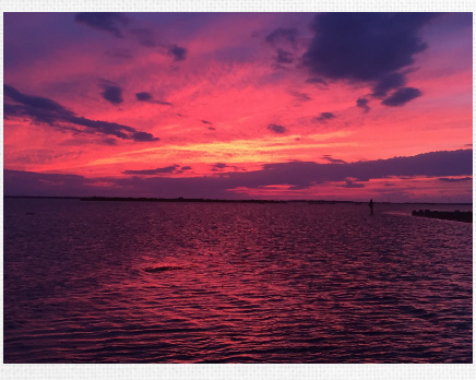 Design 452492 Canvas Prints