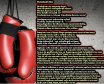 Design 393662