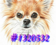 Design 398567 Canvas Prints Image