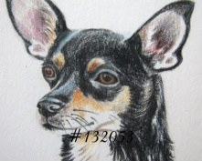 Design 398644 Canvas Prints Image