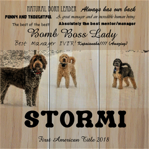 Design 436145 Canvas Prints