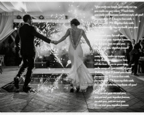 Design 433686
