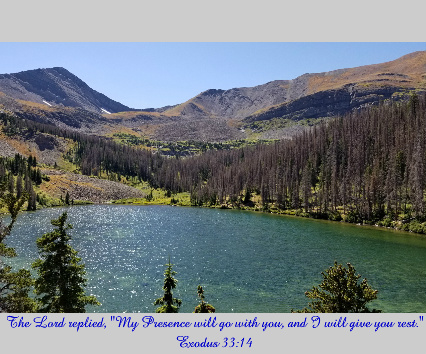 Design 490467 Canvas Prints