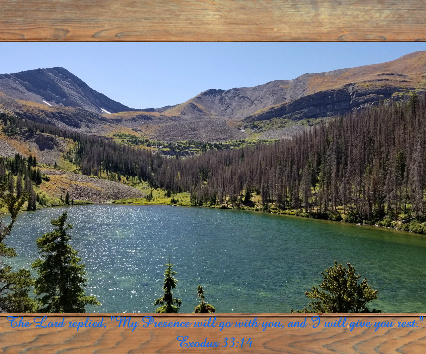 Design 490462 Canvas Prints