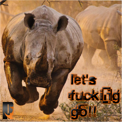 Let&amp;#039;s F**king Go!! RYNO