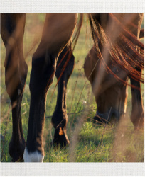 Design 555324 Canvas Prints Image