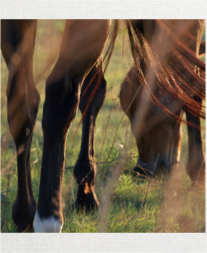 Design 555324 Canvas Prints